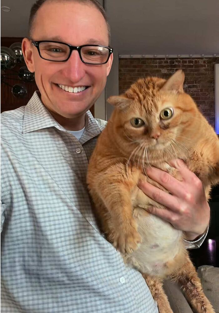 This Viral Overweight Rescue Cat Finally Found A Forever Home After Winning Hearts Around The World