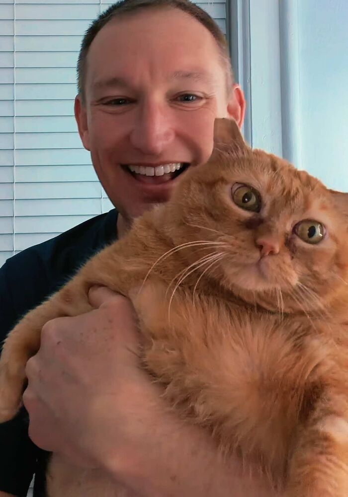 This Viral Overweight Rescue Cat Finally Found A Forever Home After Winning Hearts Around The World