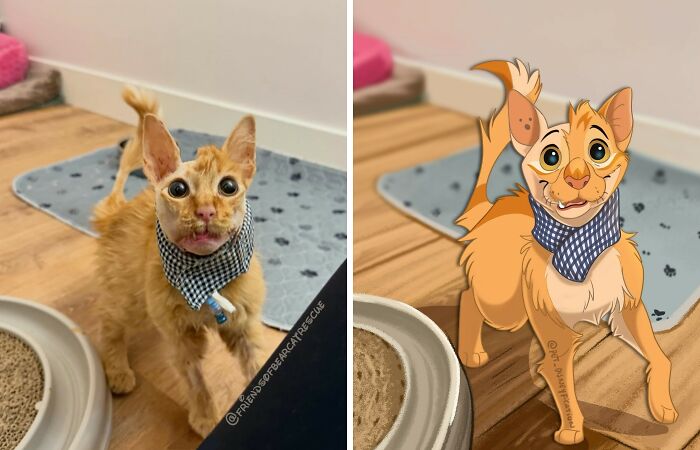 People Send Pics Of Their Pets To This Artist And She &ldquo;Disneyfies&rdquo; Them (28 New Pics)