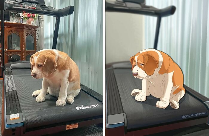 People Send Pics Of Their Pets To This Artist And She &ldquo;Disneyfies&rdquo; Them (28 New Pics)