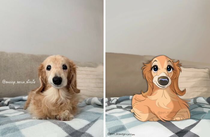 People Send Pics Of Their Pets To This Artist And She &ldquo;Disneyfies&rdquo; Them (28 New Pics)