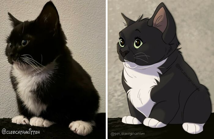 People Send Pics Of Their Pets To This Artist And She &ldquo;Disneyfies&rdquo; Them (28 New Pics)