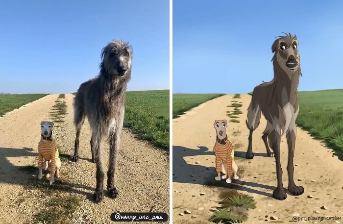 People Send Pics Of Their Pets To This Artist And She &ldquo;Disneyfies&rdquo; Them (28 New Pics)