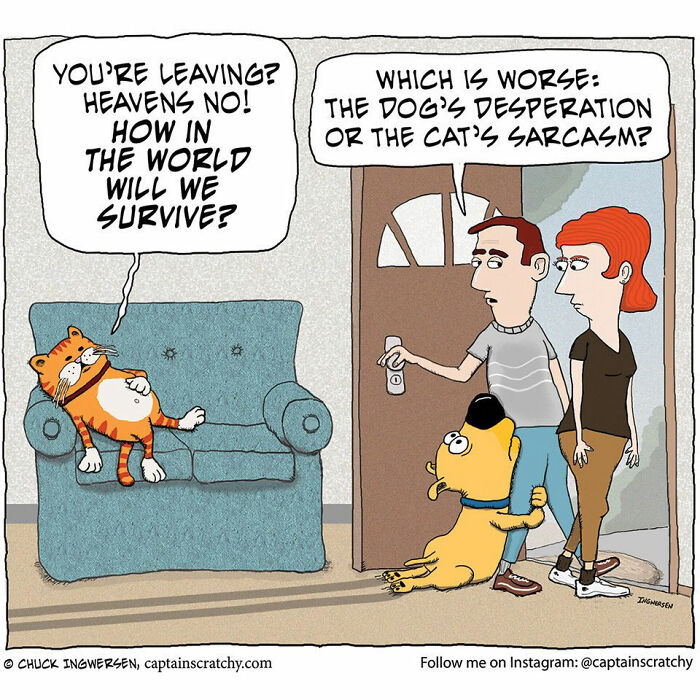 62 Comics By &ldquo;Captain Scratchy&rdquo; That Feature Animals In Funny Situations (New Pics)
