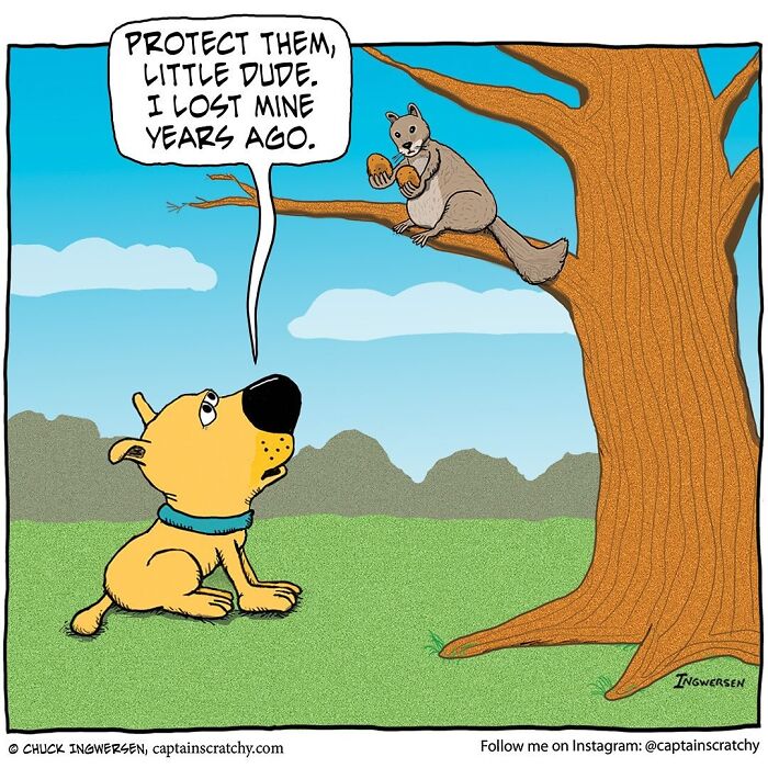 62 Comics By &ldquo;Captain Scratchy&rdquo; That Feature Animals In Funny Situations (New Pics)