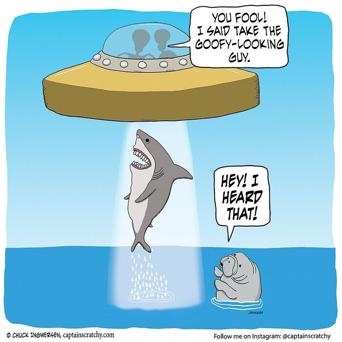 62 Comics By &ldquo;Captain Scratchy&rdquo; That Feature Animals In Funny Situations (New Pics)