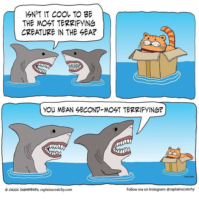 62 Comics By &ldquo;Captain Scratchy&rdquo; That Feature Animals In Funny Situations (New Pics)