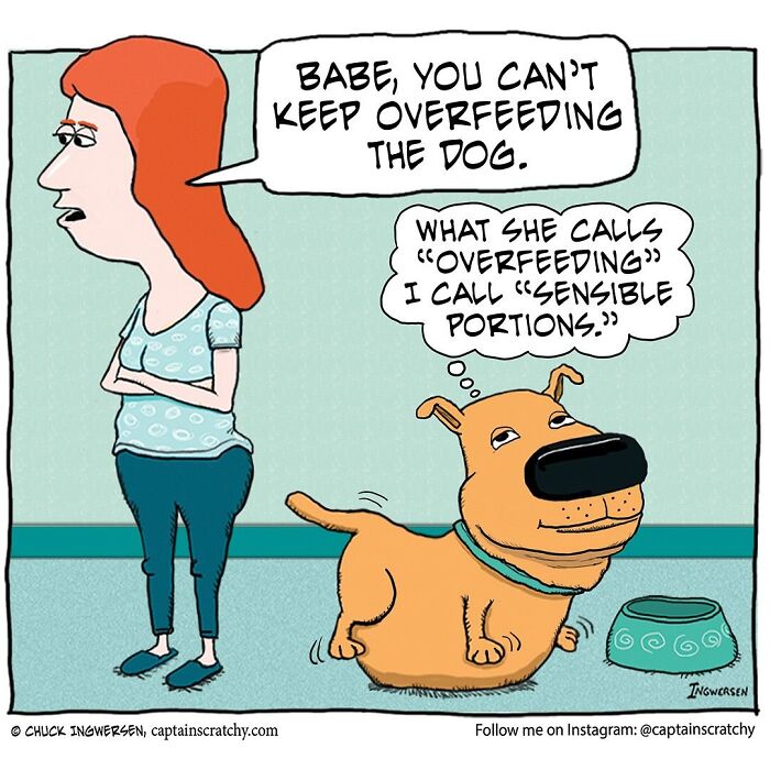 62 Comics By &ldquo;Captain Scratchy&rdquo; That Feature Animals In Funny Situations (New Pics)