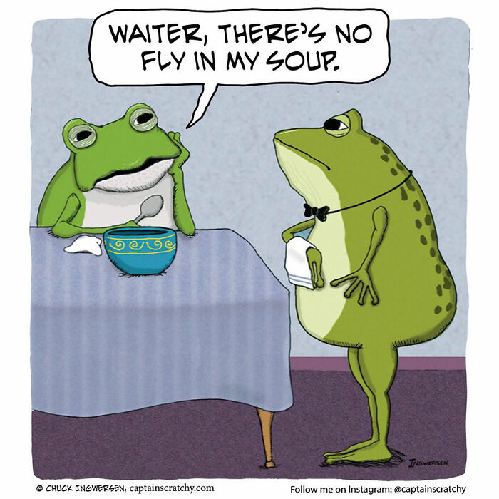 62 Comics By &ldquo;Captain Scratchy&rdquo; That Feature Animals In Funny Situations (New Pics)
