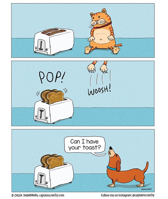 62 Comics By &ldquo;Captain Scratchy&rdquo; That Feature Animals In Funny Situations (New Pics)