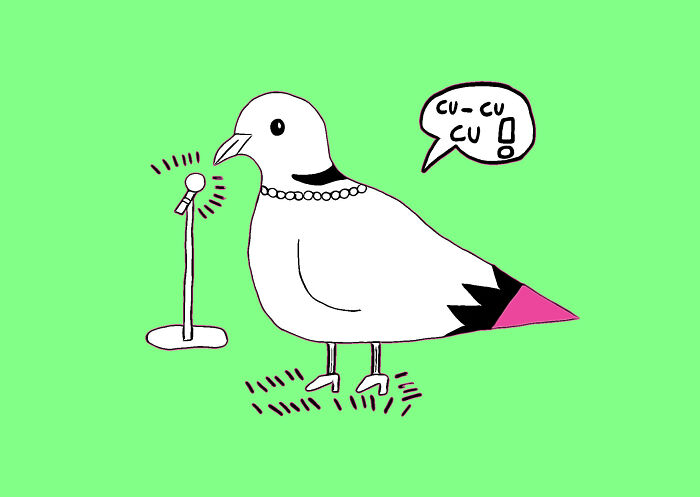 This Artist Turns Doves Into Adorable Characters, And These Are Her 16 Favorite Ones