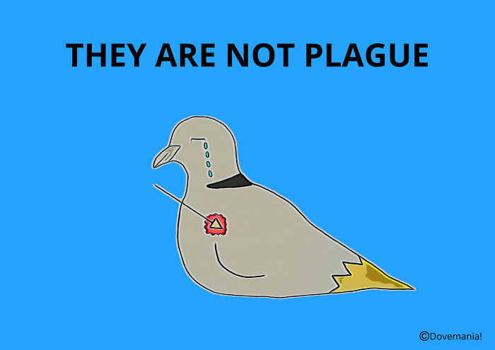 This Artist Turns Doves Into Adorable Characters, And These Are Her 16 Favorite Ones