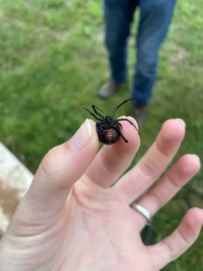 “WHY WOULD YOU TOUCH THAT?!”: 71 Things That Should Really Be Left Alone