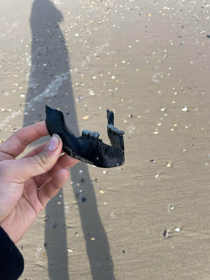 “WHY WOULD YOU TOUCH THAT?!”: 71 Things That Should Really Be Left Alone