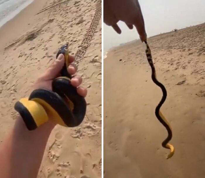 “WHY WOULD YOU TOUCH THAT?!”: 71 Things That Should Really Be Left Alone