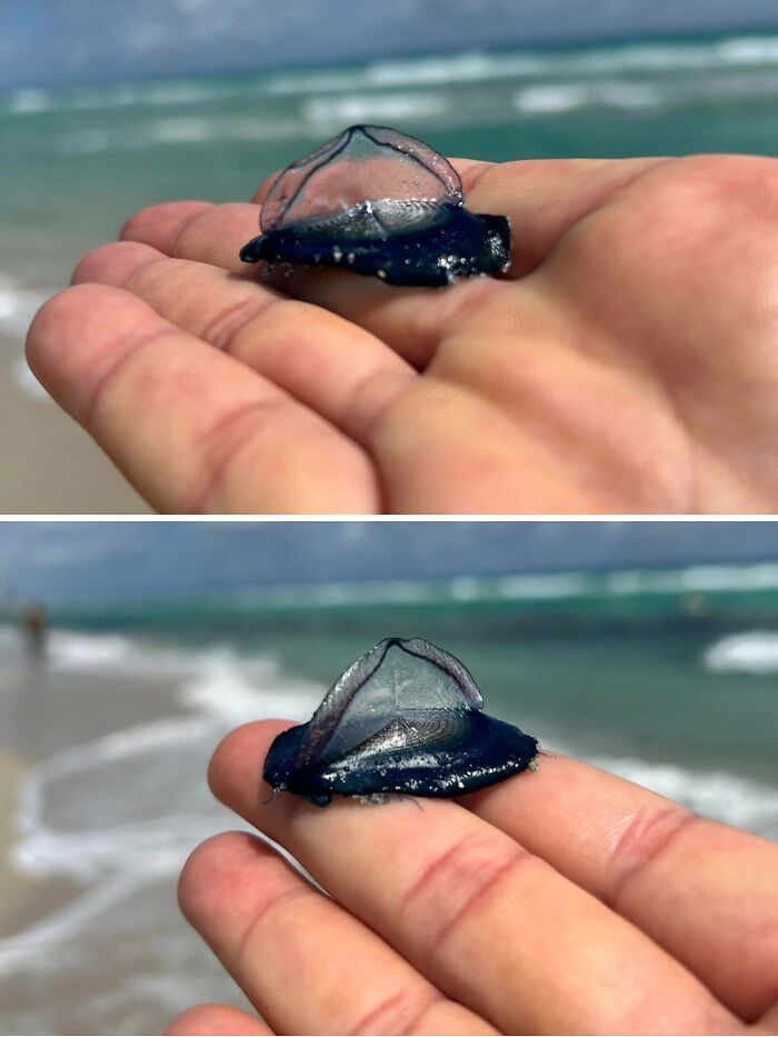 “WHY WOULD YOU TOUCH THAT?!”: 71 Things That Should Really Be Left Alone