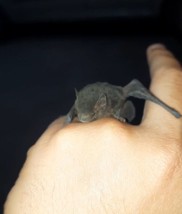 “WHY WOULD YOU TOUCH THAT?!”: 71 Things That Should Really Be Left Alone