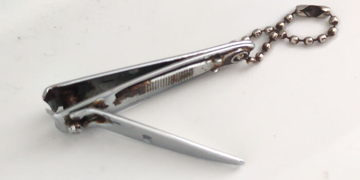 “WHY WOULD YOU TOUCH THAT?!”: 71 Things That Should Really Be Left Alone