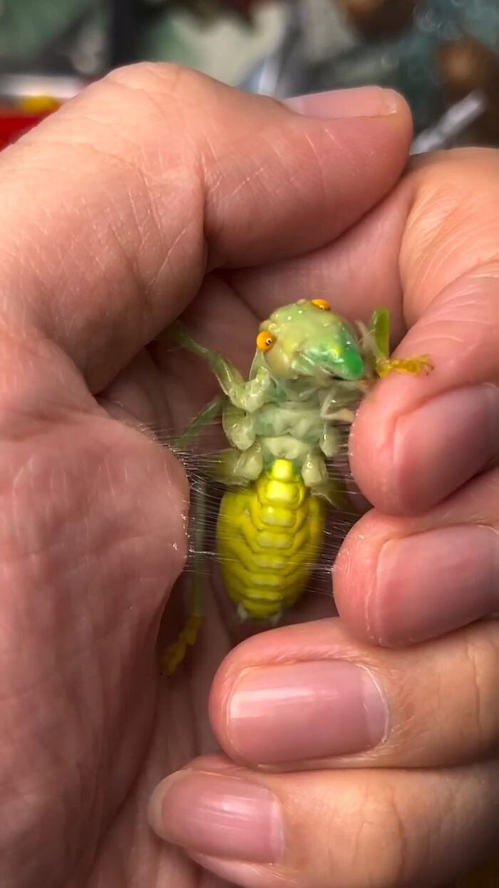 “WHY WOULD YOU TOUCH THAT?!”: 71 Things That Should Really Be Left Alone