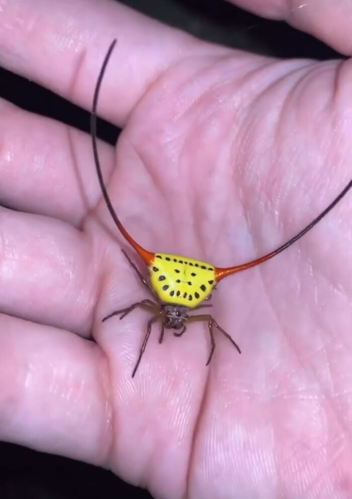 “WHY WOULD YOU TOUCH THAT?!”: 71 Things That Should Really Be Left Alone