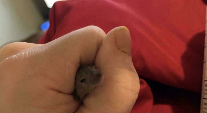 “WHY WOULD YOU TOUCH THAT?!”: 71 Things That Should Really Be Left Alone