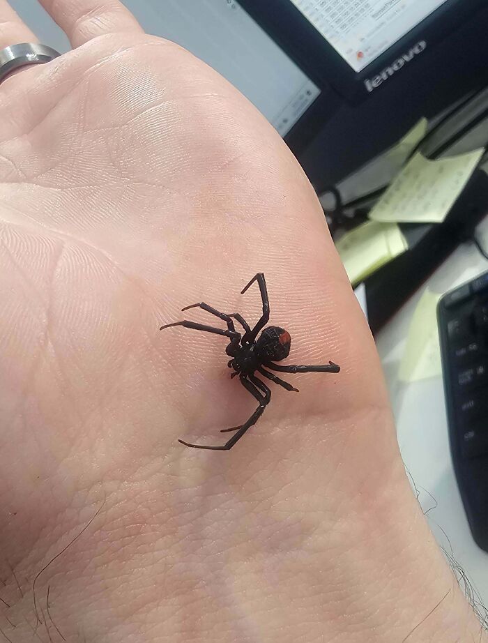 “WHY WOULD YOU TOUCH THAT?!”: 71 Things That Should Really Be Left Alone