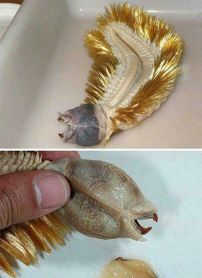 “WHY WOULD YOU TOUCH THAT?!”: 71 Things That Should Really Be Left Alone
