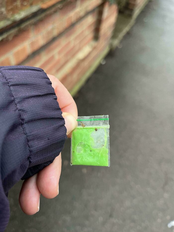 “WHY WOULD YOU TOUCH THAT?!”: 71 Things That Should Really Be Left Alone