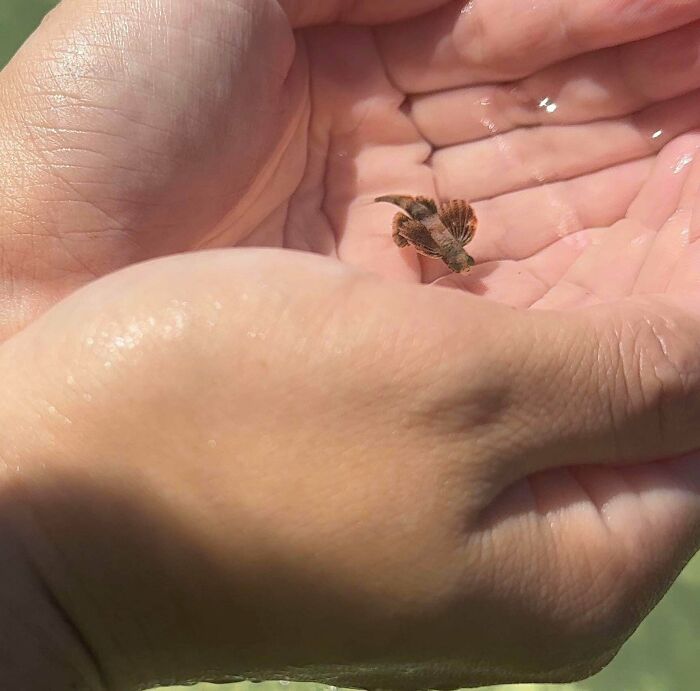 “WHY WOULD YOU TOUCH THAT?!”: 71 Things That Should Really Be Left Alone