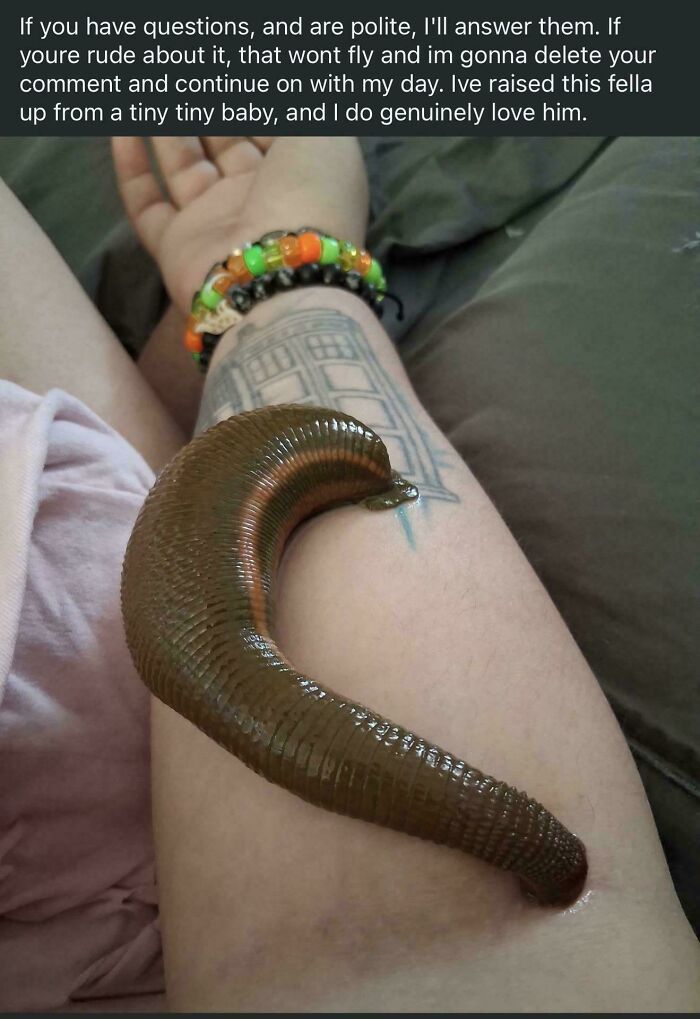 “WHY WOULD YOU TOUCH THAT?!”: 71 Things That Should Really Be Left Alone