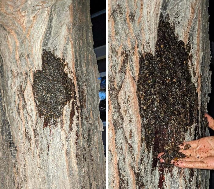 “WHY WOULD YOU TOUCH THAT?!”: 71 Things That Should Really Be Left Alone
