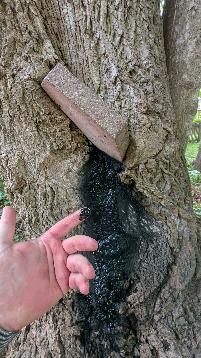 “WHY WOULD YOU TOUCH THAT?!”: 71 Things That Should Really Be Left Alone