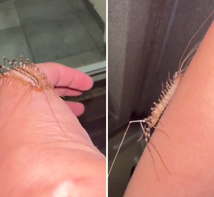 “WHY WOULD YOU TOUCH THAT?!”: 71 Things That Should Really Be Left Alone