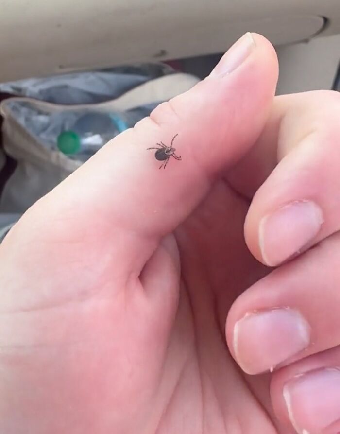 “WHY WOULD YOU TOUCH THAT?!”: 71 Things That Should Really Be Left Alone