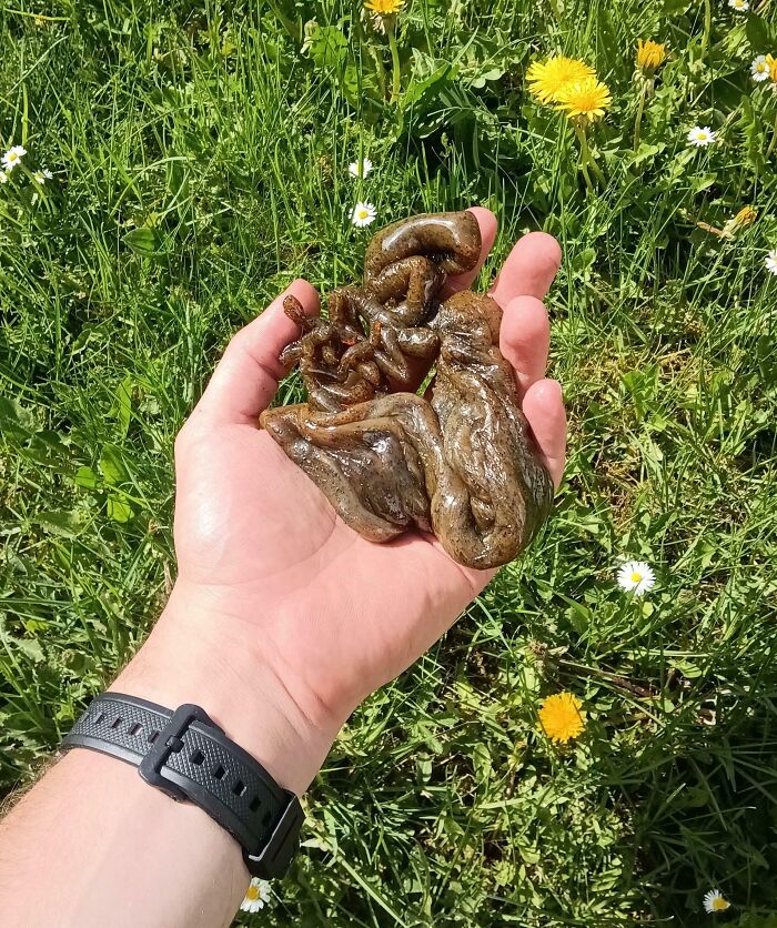 “WHY WOULD YOU TOUCH THAT?!”: 71 Things That Should Really Be Left Alone