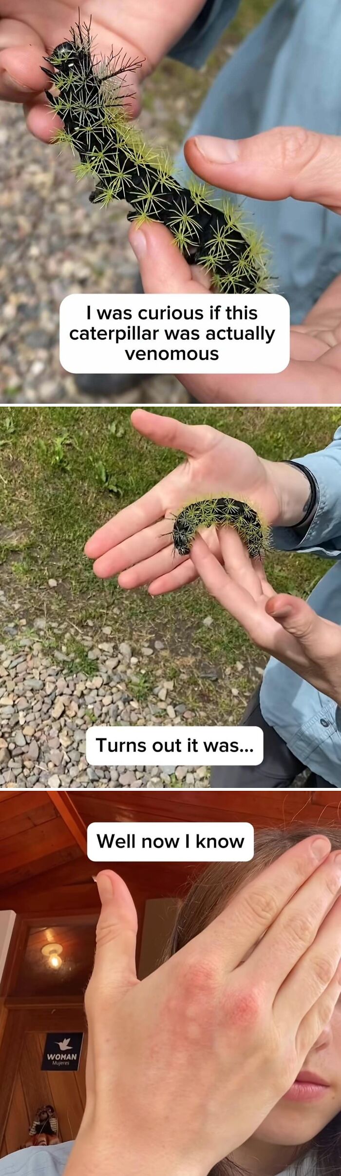 “WHY WOULD YOU TOUCH THAT?!”: 71 Things That Should Really Be Left Alone