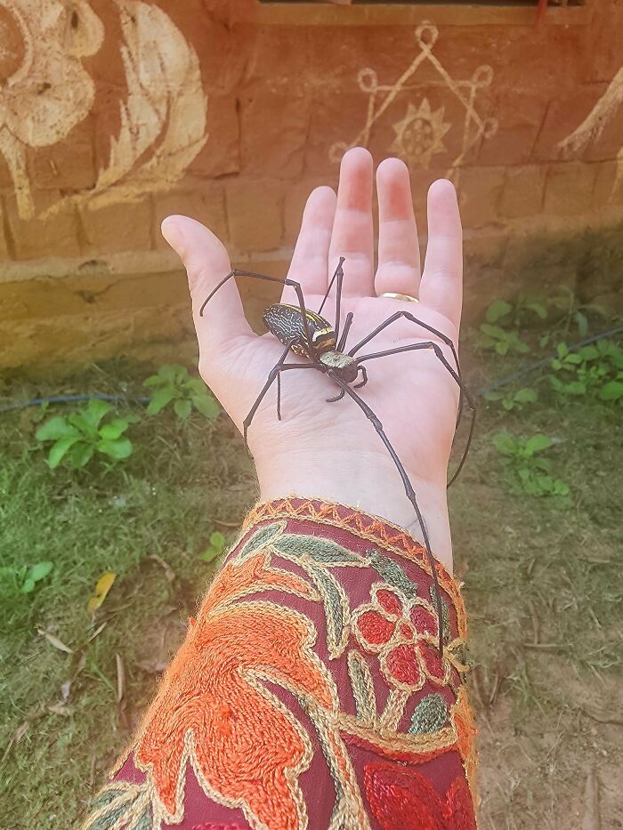 “WHY WOULD YOU TOUCH THAT?!”: 71 Things That Should Really Be Left Alone