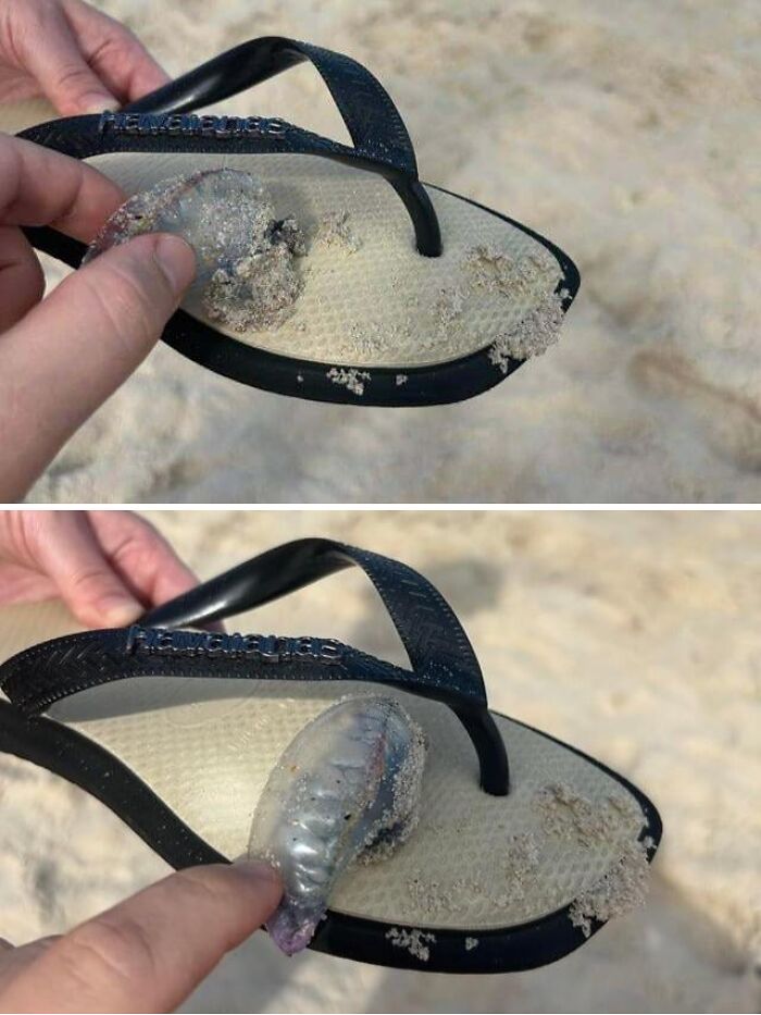 “WHY WOULD YOU TOUCH THAT?!”: 71 Things That Should Really Be Left Alone