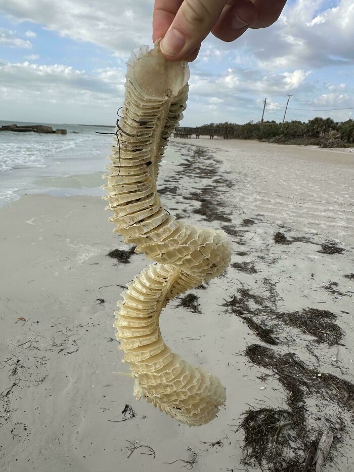 “WHY WOULD YOU TOUCH THAT?!”: 71 Things That Should Really Be Left Alone