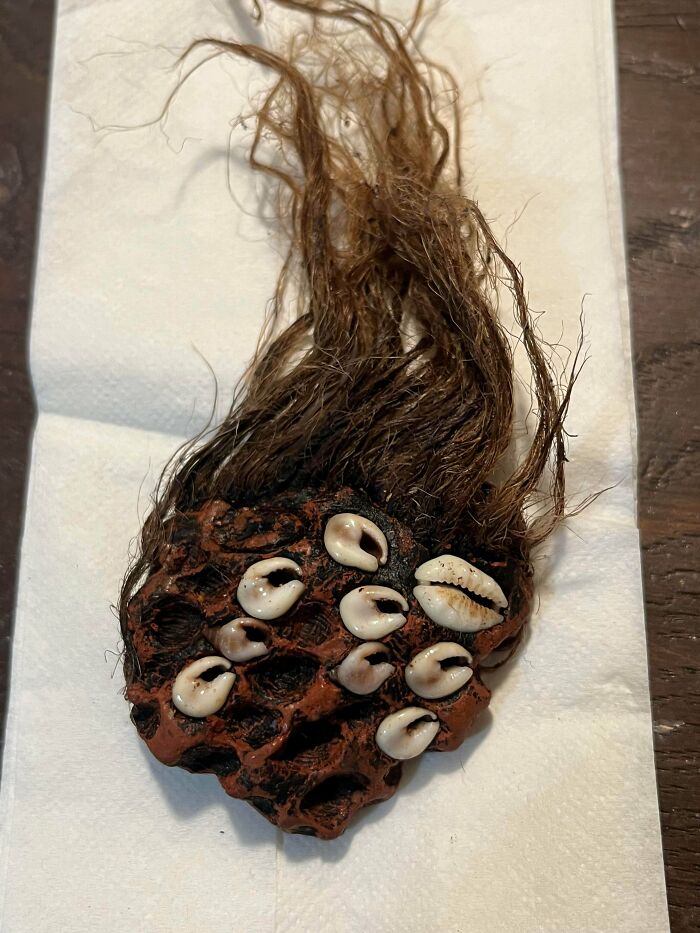 “WHY WOULD YOU TOUCH THAT?!”: 71 Things That Should Really Be Left Alone