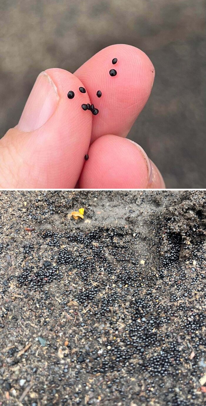 “WHY WOULD YOU TOUCH THAT?!”: 71 Things That Should Really Be Left Alone