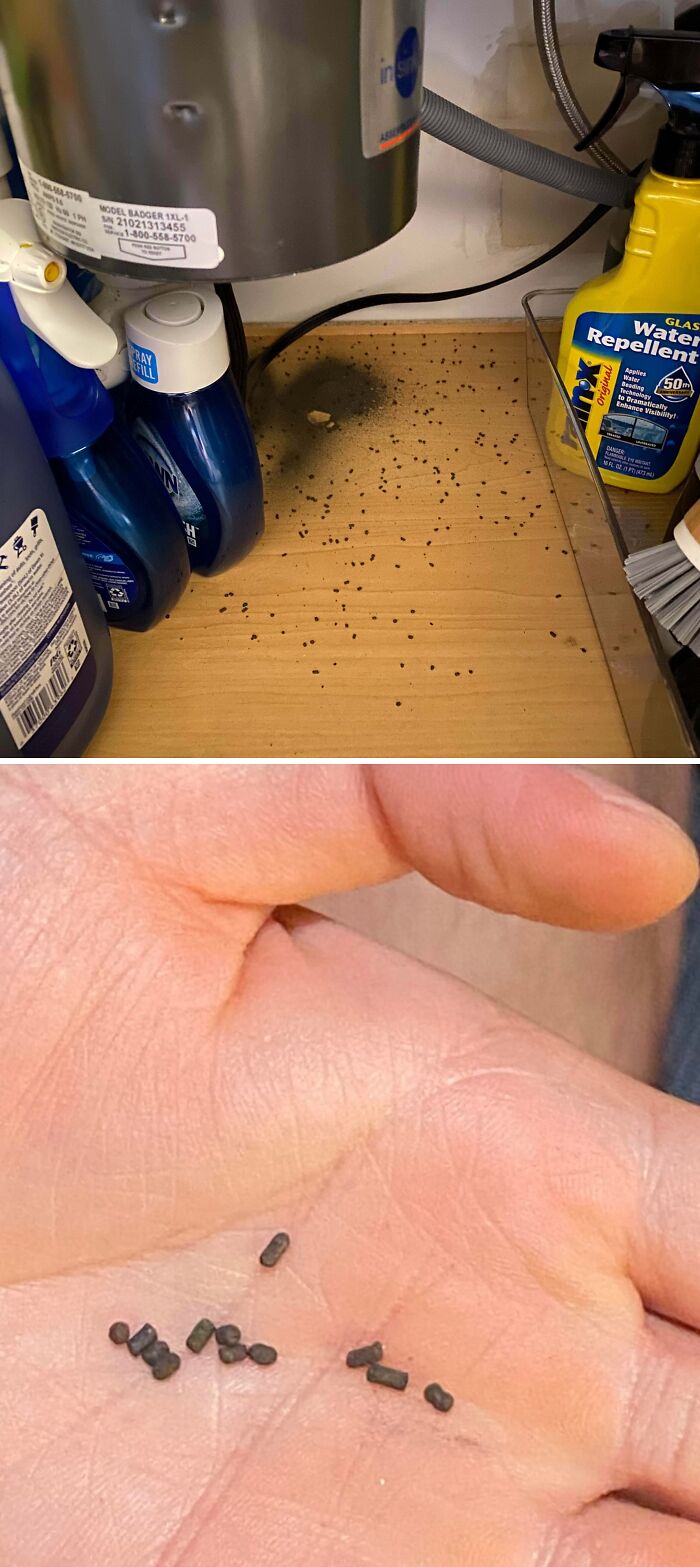 “WHY WOULD YOU TOUCH THAT?!”: 71 Things That Should Really Be Left Alone