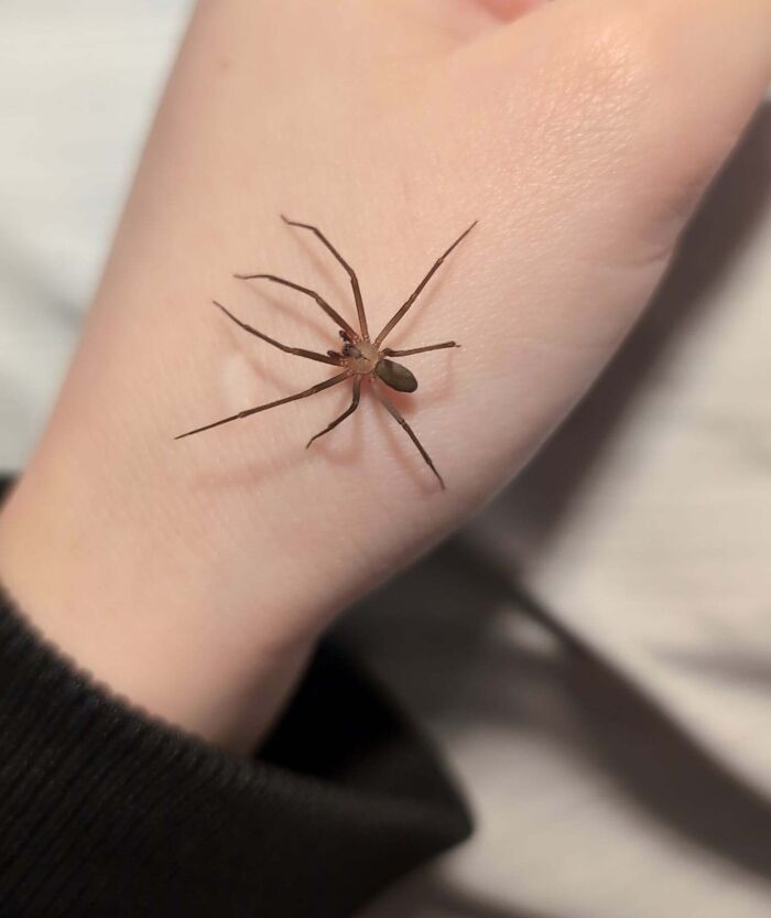 “WHY WOULD YOU TOUCH THAT?!”: 71 Things That Should Really Be Left Alone
