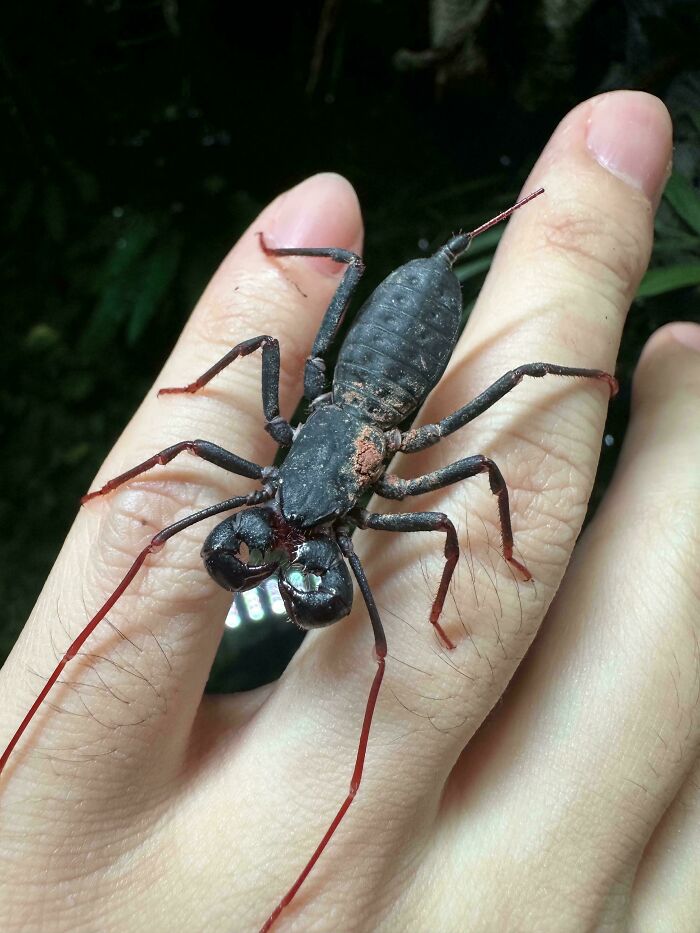 “WHY WOULD YOU TOUCH THAT?!”: 71 Things That Should Really Be Left Alone