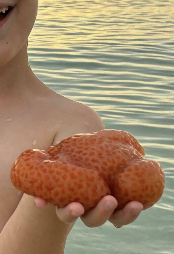“WHY WOULD YOU TOUCH THAT?!”: 71 Things That Should Really Be Left Alone