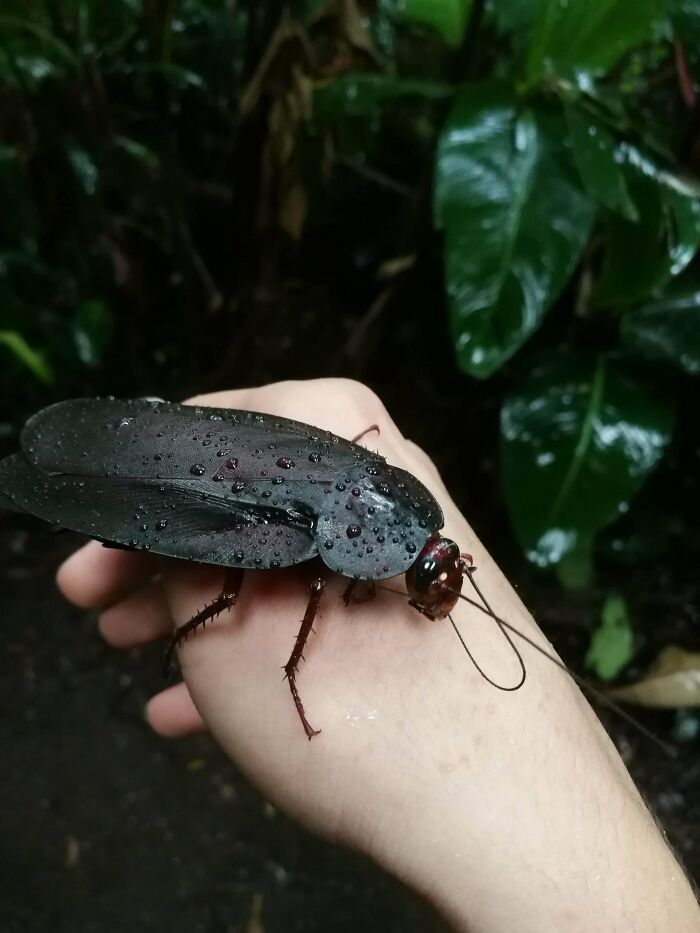 “WHY WOULD YOU TOUCH THAT?!”: 71 Things That Should Really Be Left Alone