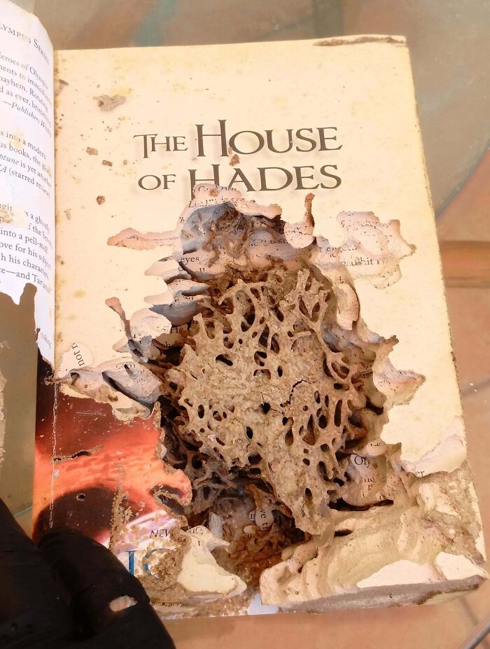 “WHY WOULD YOU TOUCH THAT?!”: 71 Things That Should Really Be Left Alone