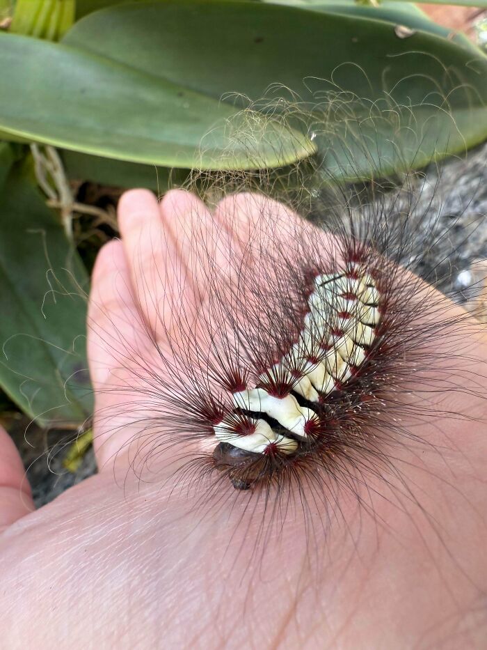 “WHY WOULD YOU TOUCH THAT?!”: 71 Things That Should Really Be Left Alone