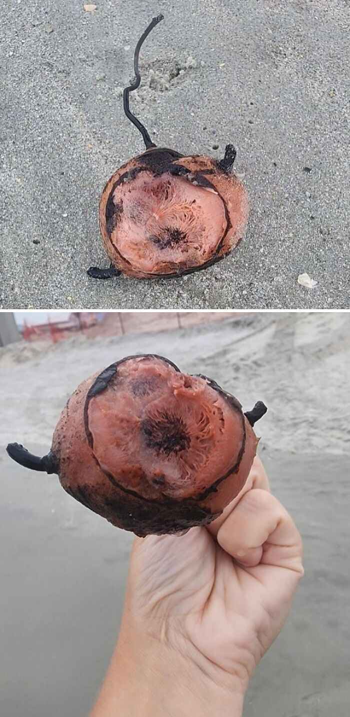 “WHY WOULD YOU TOUCH THAT?!”: 71 Things That Should Really Be Left Alone
