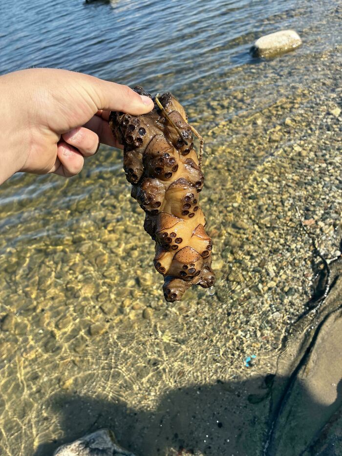 “WHY WOULD YOU TOUCH THAT?!”: 71 Things That Should Really Be Left Alone